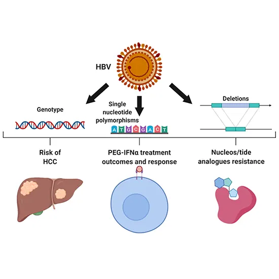 hepatitis b virus (hbv) genotyping and resistance